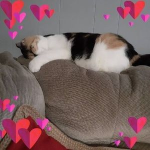 Meet your Posher, Dena